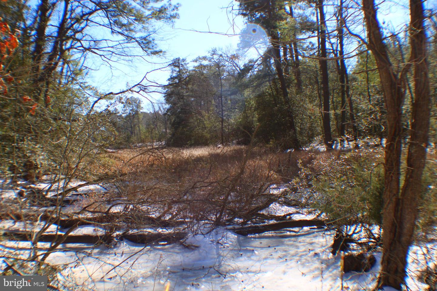 00 S TIDWELLS RD, MONTROSS, Virginia 22520, ,Land,For sale,00 S TIDWELLS RD,VAWE2010442 MLS # VAWE2010442