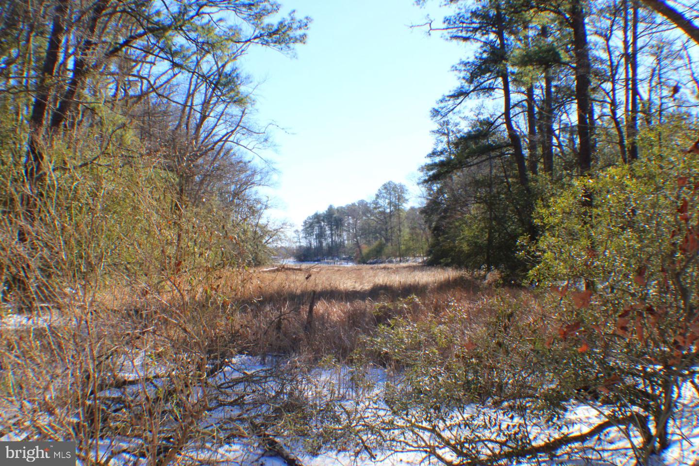 00 S TIDWELLS RD, MONTROSS, Virginia 22520, ,Land,For sale,00 S TIDWELLS RD,VAWE2010442 MLS # VAWE2010442