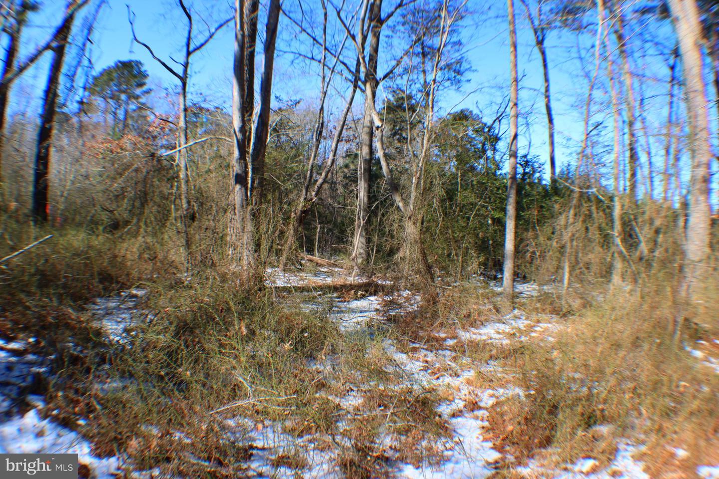 00 S TIDWELLS RD, MONTROSS, Virginia 22520, ,Land,For sale,00 S TIDWELLS RD,VAWE2010442 MLS # VAWE2010442