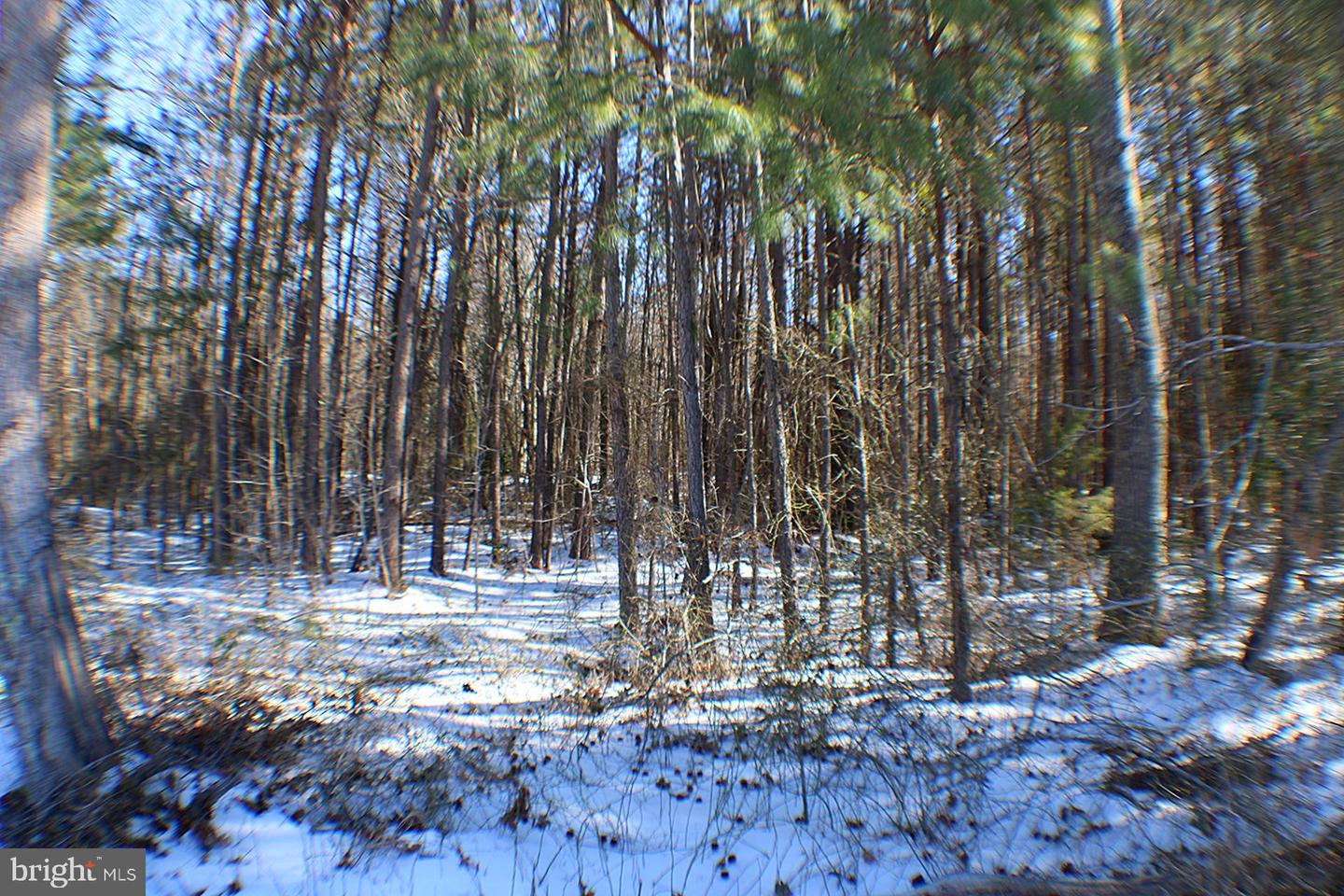 00 S TIDWELLS RD, MONTROSS, Virginia 22520, ,Land,For sale,00 S TIDWELLS RD,VAWE2010442 MLS # VAWE2010442