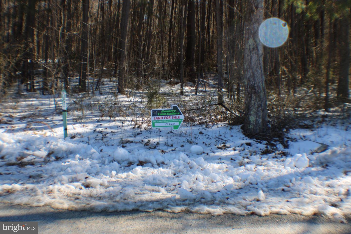 00 S TIDWELLS RD, MONTROSS, Virginia 22520, ,Land,For sale,00 S TIDWELLS RD,VAWE2010442 MLS # VAWE2010442