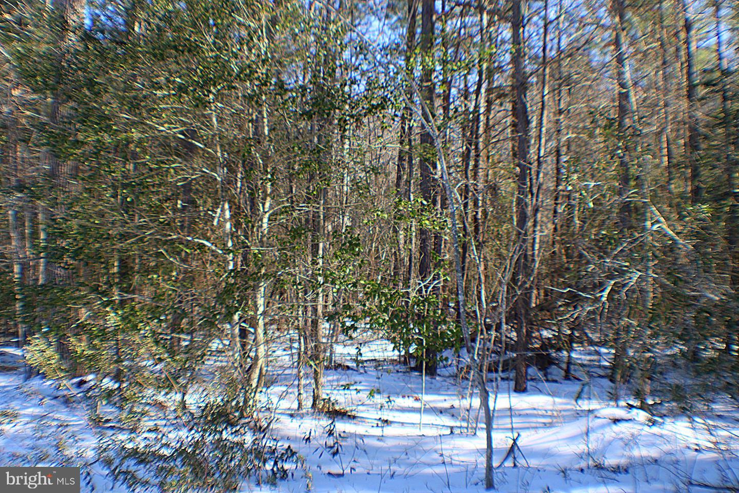 00 S TIDWELLS RD, MONTROSS, Virginia 22520, ,Land,For sale,00 S TIDWELLS RD,VAWE2010442 MLS # VAWE2010442