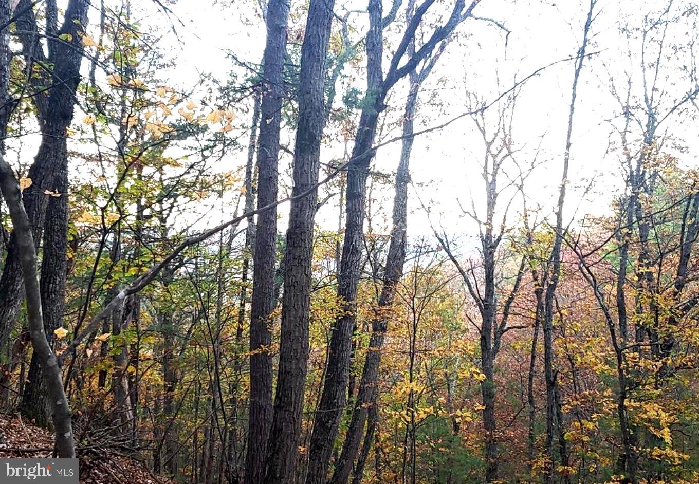 0 FAIRWAY DR #LOT 31, BASYE, Virginia 22810, ,Land,For sale,0 FAIRWAY DR #LOT 31,VASH2013480 MLS # VASH2013480