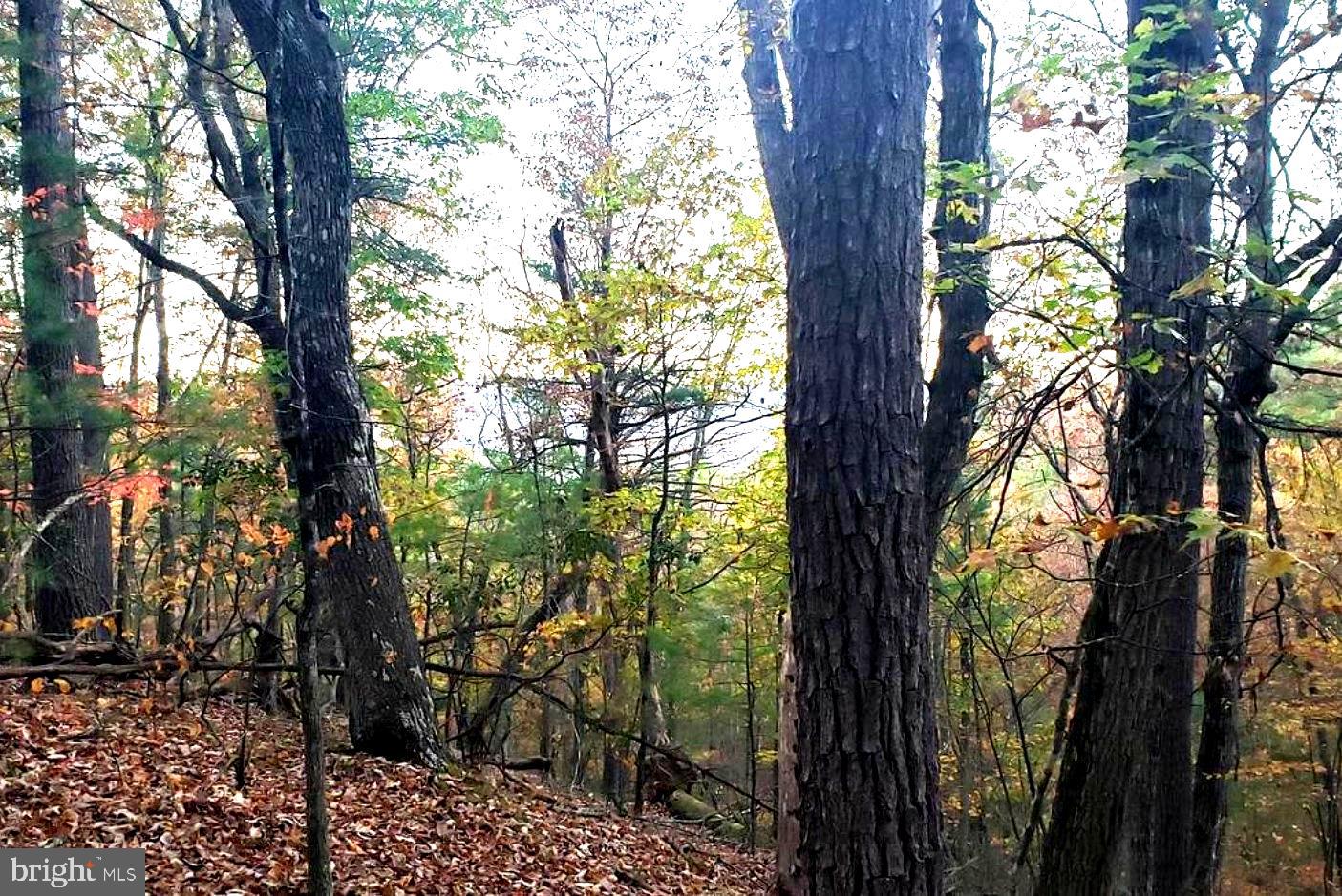 0 FAIRWAY DR #LOT 31, BASYE, Virginia 22810, ,Land,For sale,0 FAIRWAY DR #LOT 31,VASH2013480 MLS # VASH2013480