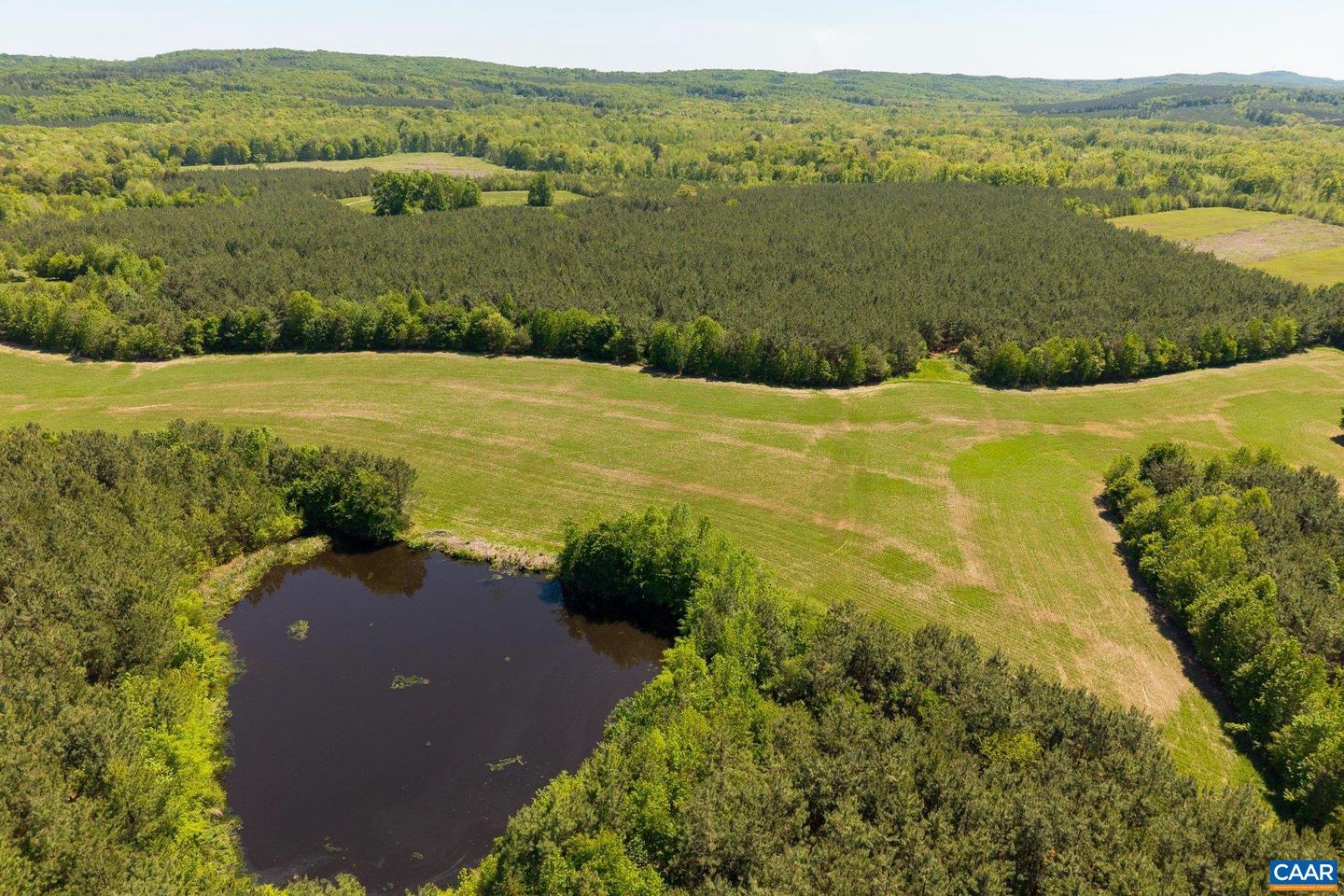 3644 HALIFAX RD, CHATHAM, Virginia 24531, ,Farm,For sale,3644 HALIFAX RD,672875 MLS # 672875