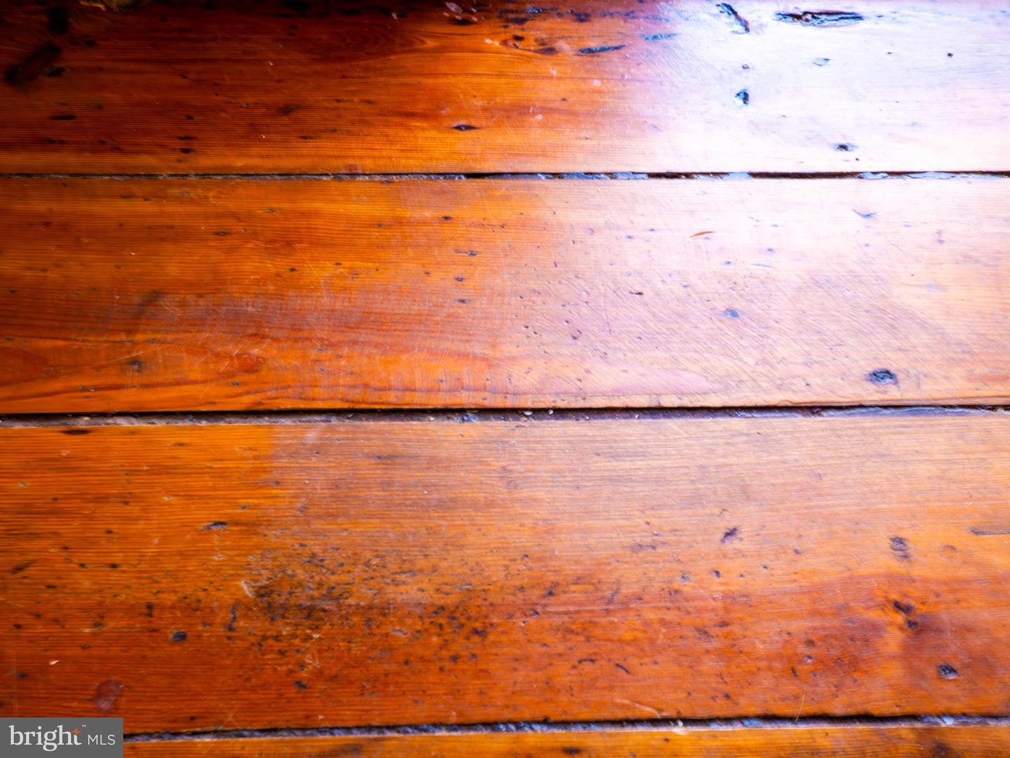 703 S LOUDOUN ST, WINCHESTER, Virginia 22601, 3 Bedrooms Bedrooms, ,2 BathroomsBathrooms,Residential,For sale,703 S LOUDOUN ST,VAWI2009838 MLS # VAWI2009838 703 S LOUDOUN ST, WINCHESTER, Virginia 22601, 3 Bedrooms Bedrooms, ,2 BathroomsBathrooms,Residential,For sale,703 S LOUDOUN ST,VAWI2009838 MLS # VAWI2009838