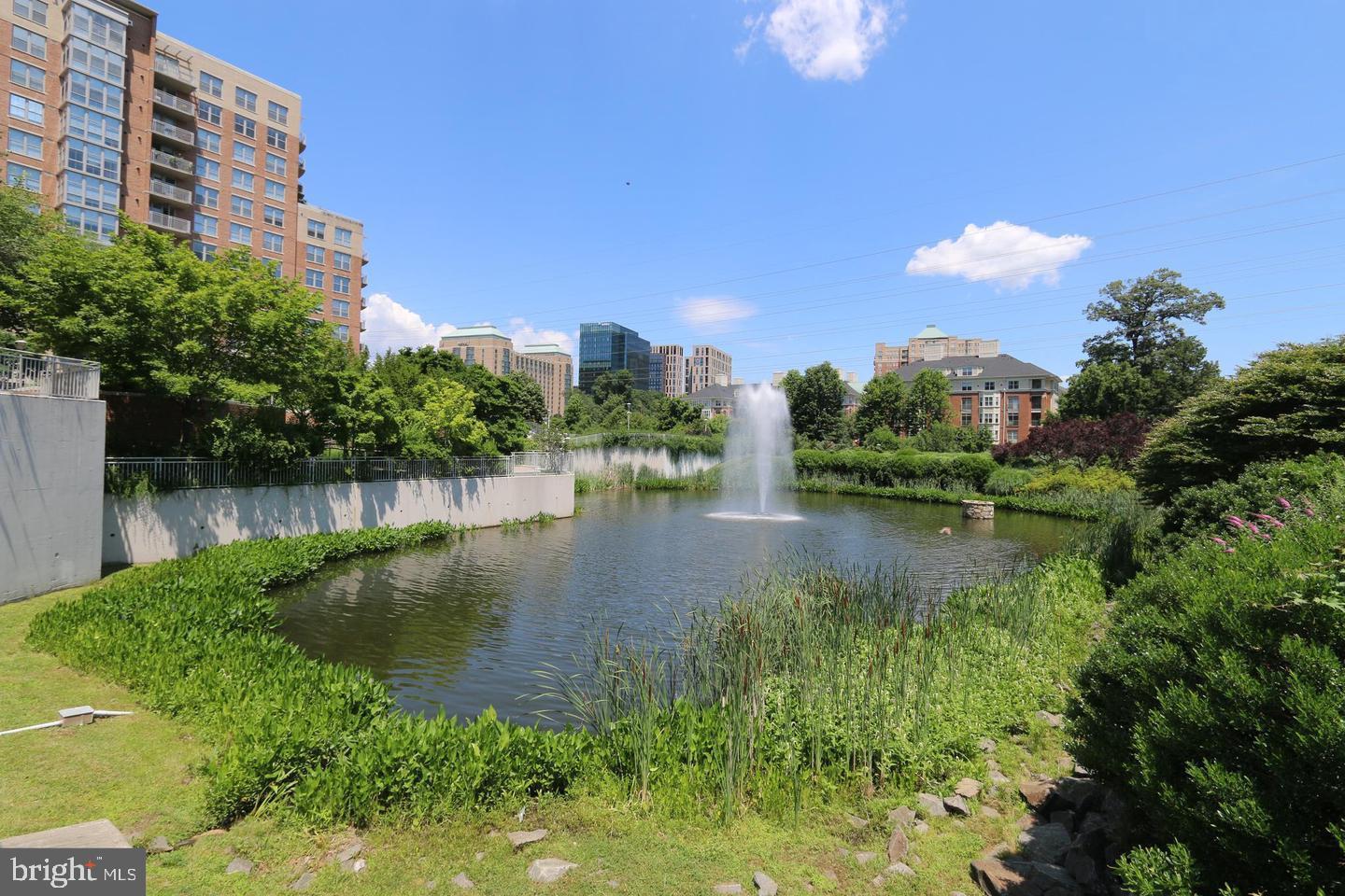 11800 SUNSET HILLS RD #702, RESTON, Virginia 20190, 2 Bedrooms Bedrooms, ,2 BathroomsBathrooms,Residential,For sale,11800 SUNSET HILLS RD #702,VAFX2287826 MLS # VAFX2287826 11800 SUNSET HILLS RD #702, RESTON, Virginia 20190, 2 Bedrooms Bedrooms, ,2 BathroomsBathrooms,Residential,For sale,11800 SUNSET HILLS RD #702,VAFX2287826 MLS # VAFX2287826