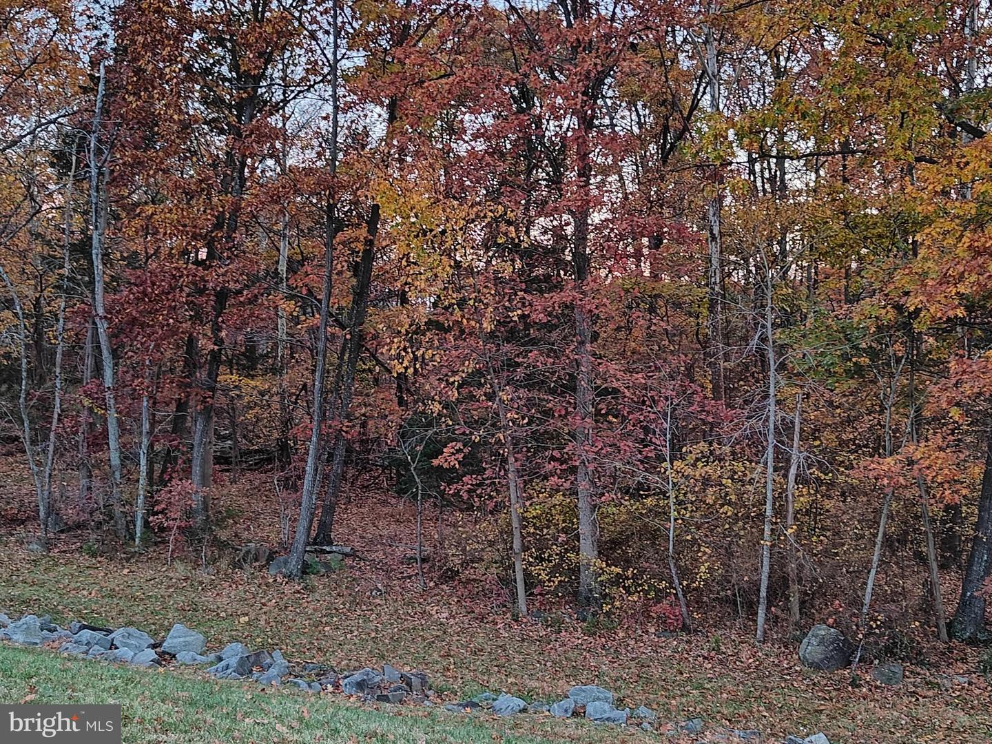 2393 LIBERTY LOOP, HERNDON, Virginia 20171, 3 Bedrooms Bedrooms, ,2 BathroomsBathrooms,Residential,For sale,2393 LIBERTY LOOP,VAFX2287982 MLS # VAFX2287982 2393 LIBERTY LOOP, HERNDON, Virginia 20171, 3 Bedrooms Bedrooms, ,2 BathroomsBathrooms,Residential,For sale,2393 LIBERTY LOOP,VAFX2287982 MLS # VAFX2287982