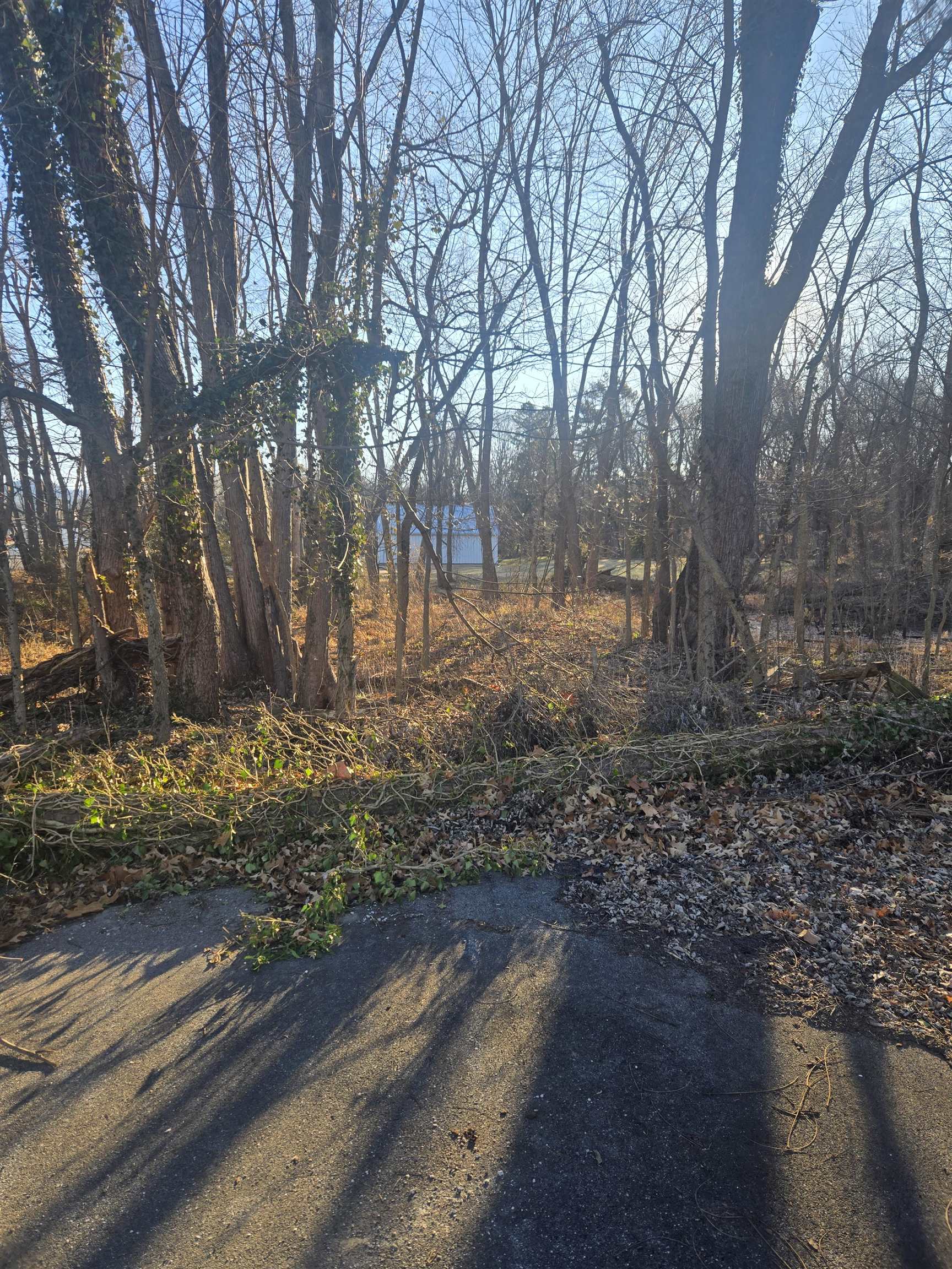 TBD SECOND ST, GROTTOES, Virginia 24441, ,Land,TBD 1ST & 2cnd Street Grottoes Virginia,TBD SECOND ST,672887 MLS # 672887