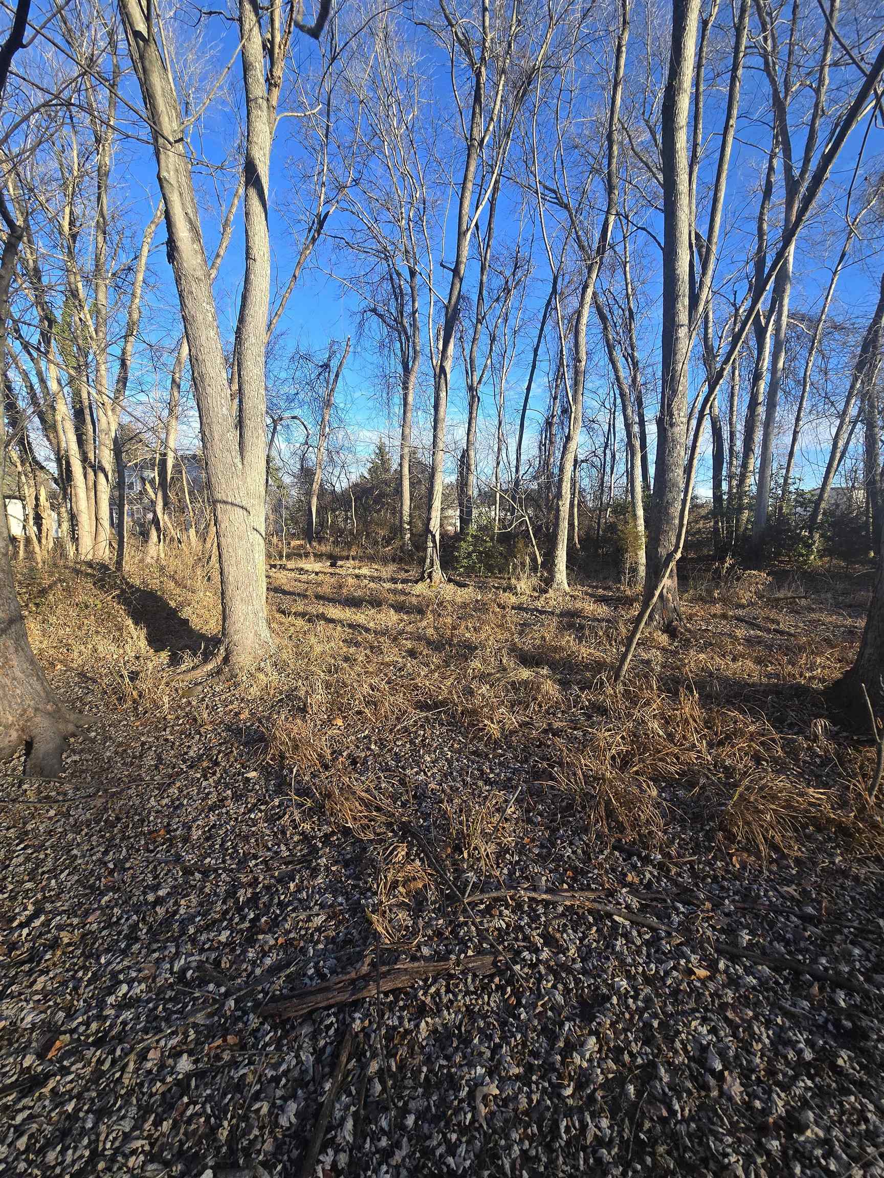 TBD SECOND ST, GROTTOES, Virginia 24441, ,Land,TBD 1ST & 2cnd Street Grottoes Virginia,TBD SECOND ST,672887 MLS # 672887