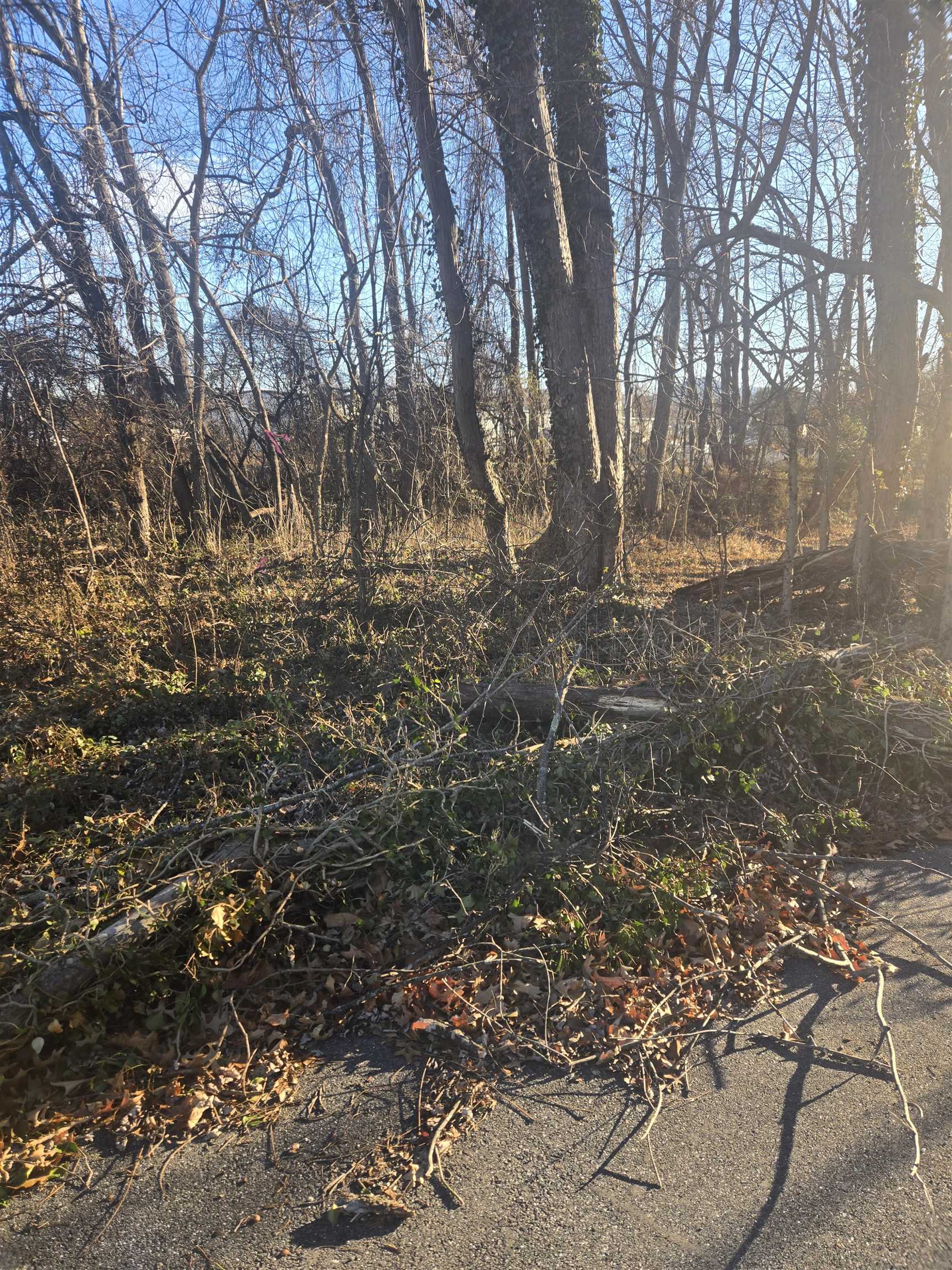 TBD SECOND ST, GROTTOES, Virginia 24441, ,Land,TBD 1ST & 2cnd Street Grottoes Virginia,TBD SECOND ST,672887 MLS # 672887