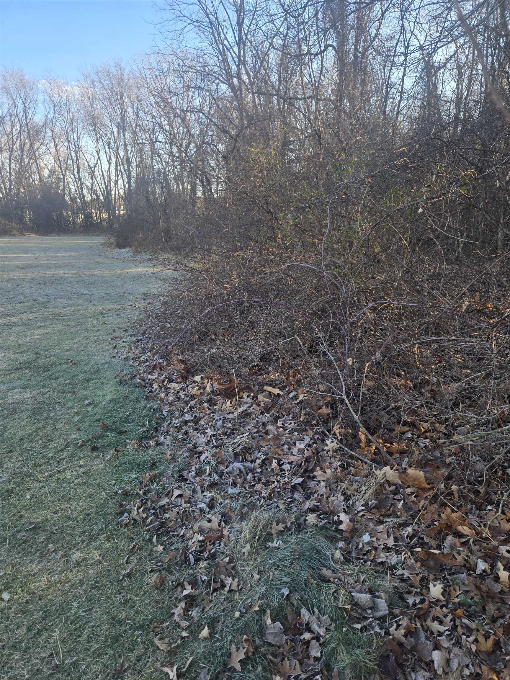 TBD SECOND ST, GROTTOES, Virginia 24441, ,Land,TBD 1ST & 2cnd Street Grottoes Virginia,TBD SECOND ST,672887 MLS # 672887