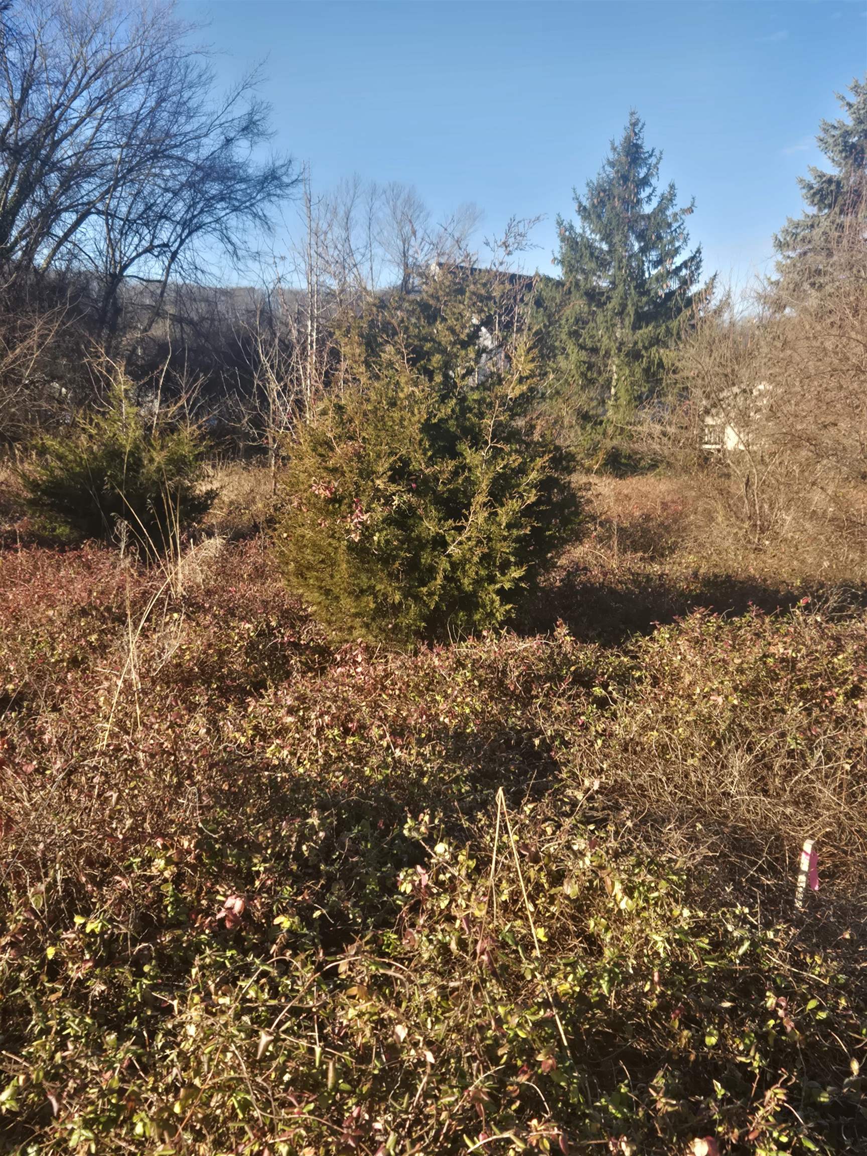 TBD SECOND ST, GROTTOES, Virginia 24441, ,Land,TBD 1ST & 2cnd Street Grottoes Virginia,TBD SECOND ST,672887 MLS # 672887