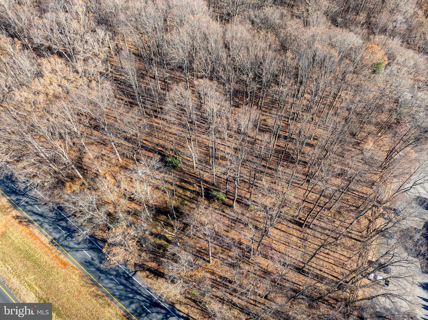 55-38B SEMINOLE TRAIL N, SHELBY, Virginia 22727, ,Land,For sale,55-38B SEMINOLE TRAIL N,VAMA2002588 MLS # VAMA2002588 55-38B SEMINOLE TRAIL N, SHELBY, Virginia 22727, ,Land,For sale,55-38B SEMINOLE TRAIL N,VAMA2002588 MLS # VAMA2002588