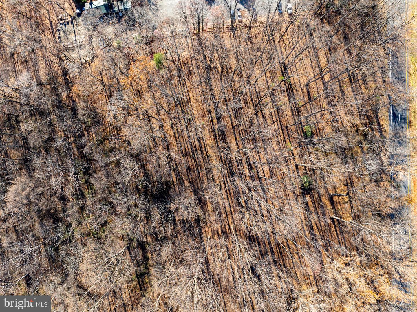 55-38B SEMINOLE TRAIL N, SHELBY, Virginia 22727, ,Land,For sale,55-38B SEMINOLE TRAIL N,VAMA2002588 MLS # VAMA2002588 55-38B SEMINOLE TRAIL N, SHELBY, Virginia 22727, ,Land,For sale,55-38B SEMINOLE TRAIL N,VAMA2002588 MLS # VAMA2002588