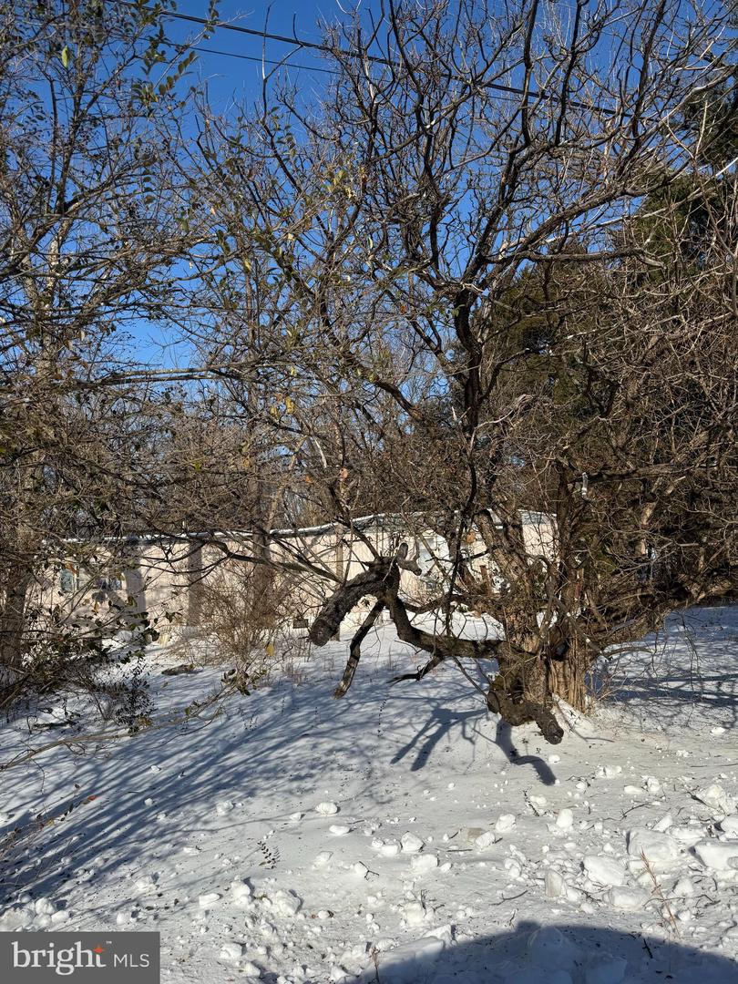 389 FELLOWS DR, FRONT ROYAL, Virginia 22630, ,Land,For sale,389 FELLOWS DR,VAWR2013256 MLS # VAWR2013256 389 FELLOWS DR, FRONT ROYAL, Virginia 22630, ,Land,For sale,389 FELLOWS DR,VAWR2013256 MLS # VAWR2013256