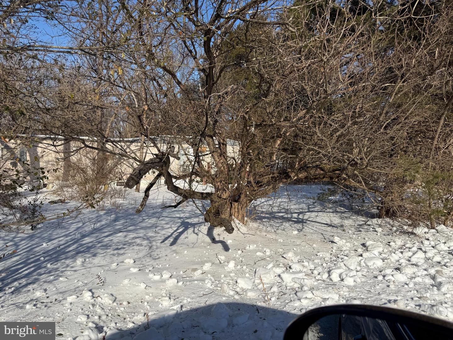 389 FELLOWS DR, FRONT ROYAL, Virginia 22630, ,Land,For sale,389 FELLOWS DR,VAWR2013256 MLS # VAWR2013256 389 FELLOWS DR, FRONT ROYAL, Virginia 22630, ,Land,For sale,389 FELLOWS DR,VAWR2013256 MLS # VAWR2013256