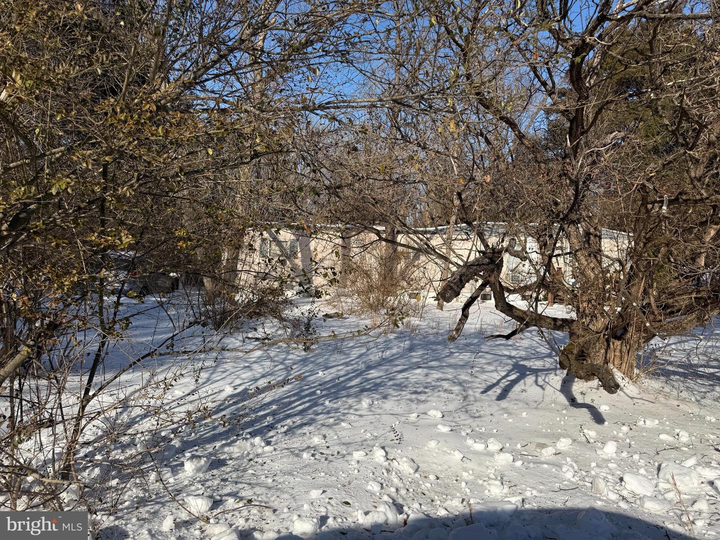 389 FELLOWS DR, FRONT ROYAL, Virginia 22630, ,Land,For sale,389 FELLOWS DR,VAWR2013256 MLS # VAWR2013256 389 FELLOWS DR, FRONT ROYAL, Virginia 22630, ,Land,For sale,389 FELLOWS DR,VAWR2013256 MLS # VAWR2013256