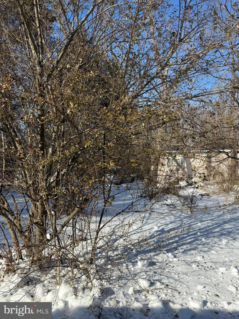 389 FELLOWS DR, FRONT ROYAL, Virginia 22630, ,Land,For sale,389 FELLOWS DR,VAWR2013256 MLS # VAWR2013256 389 FELLOWS DR, FRONT ROYAL, Virginia 22630, ,Land,For sale,389 FELLOWS DR,VAWR2013256 MLS # VAWR2013256