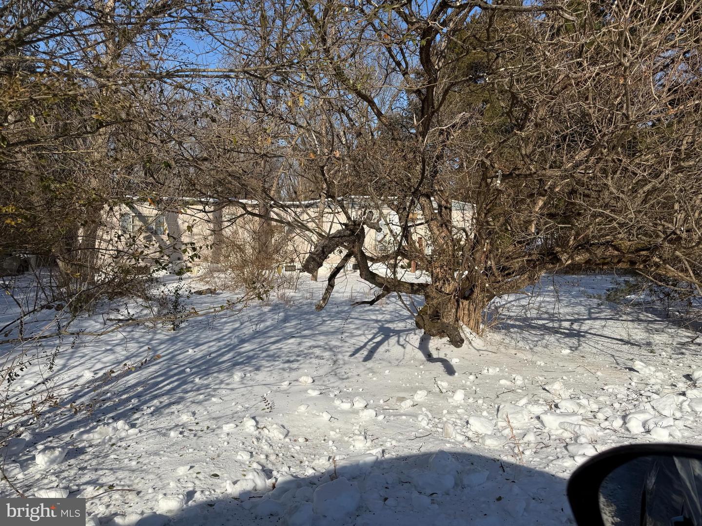 389 FELLOWS DR, FRONT ROYAL, Virginia 22630, ,Land,For sale,389 FELLOWS DR,VAWR2013256 MLS # VAWR2013256 389 FELLOWS DR, FRONT ROYAL, Virginia 22630, ,Land,For sale,389 FELLOWS DR,VAWR2013256 MLS # VAWR2013256