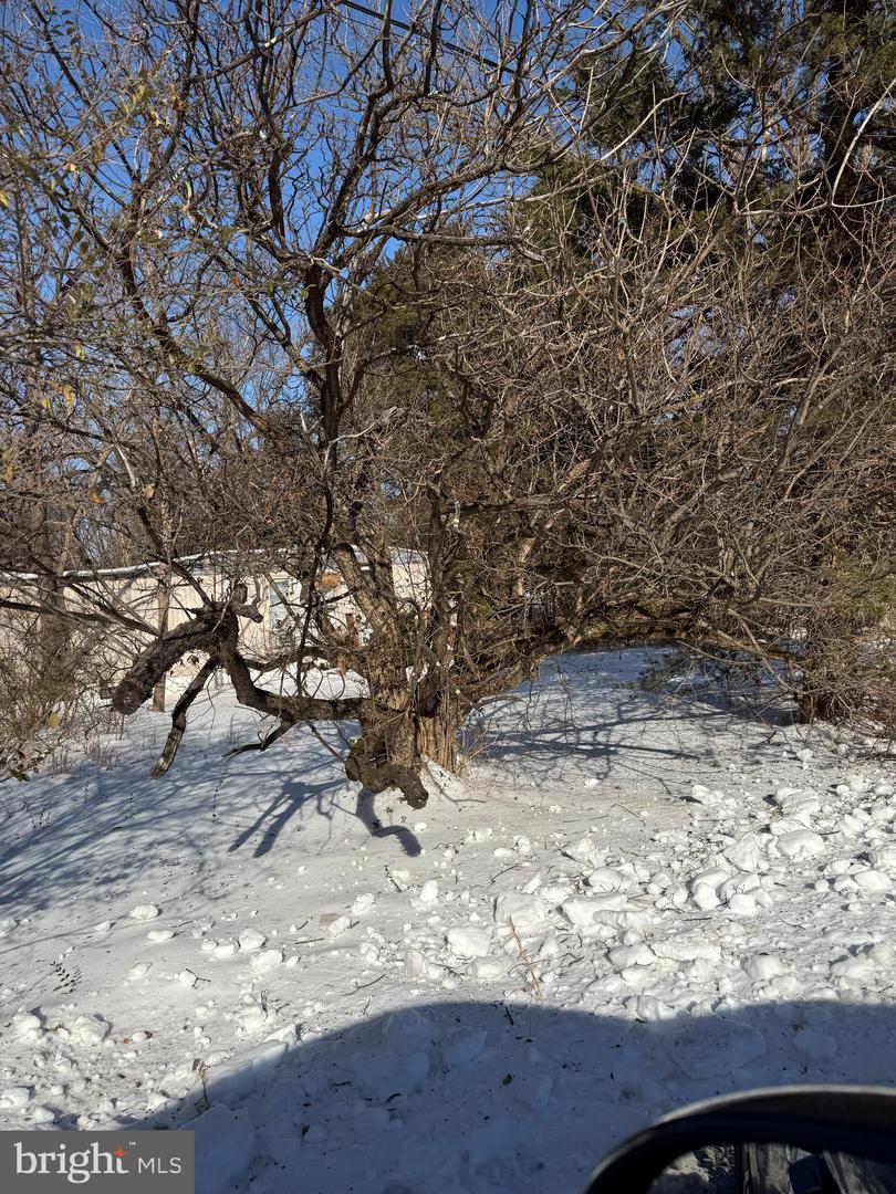 389 FELLOWS DR, FRONT ROYAL, Virginia 22630, ,Land,For sale,389 FELLOWS DR,VAWR2013256 MLS # VAWR2013256 389 FELLOWS DR, FRONT ROYAL, Virginia 22630, ,Land,For sale,389 FELLOWS DR,VAWR2013256 MLS # VAWR2013256