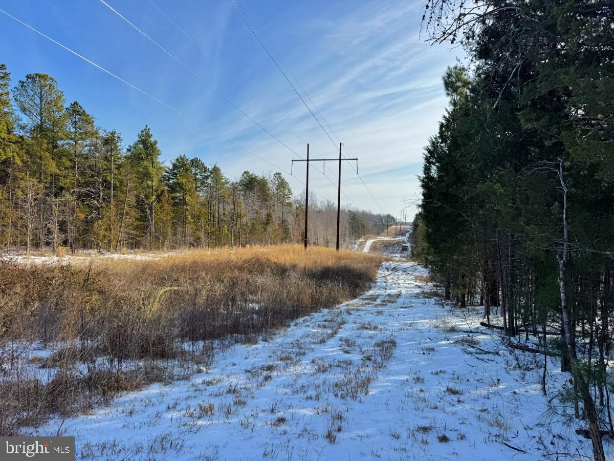0 BILL TUCK HWY, VIRGILINA, Virginia 24598, ,Land,For sale,0 BILL TUCK HWY,VAHX2000158 MLS # VAHX2000158