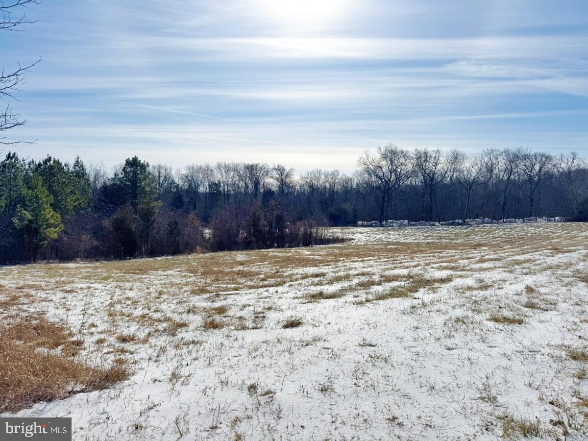 0 BILL TUCK HWY, VIRGILINA, Virginia 24598, ,Land,For sale,0 BILL TUCK HWY,VAHX2000158 MLS # VAHX2000158