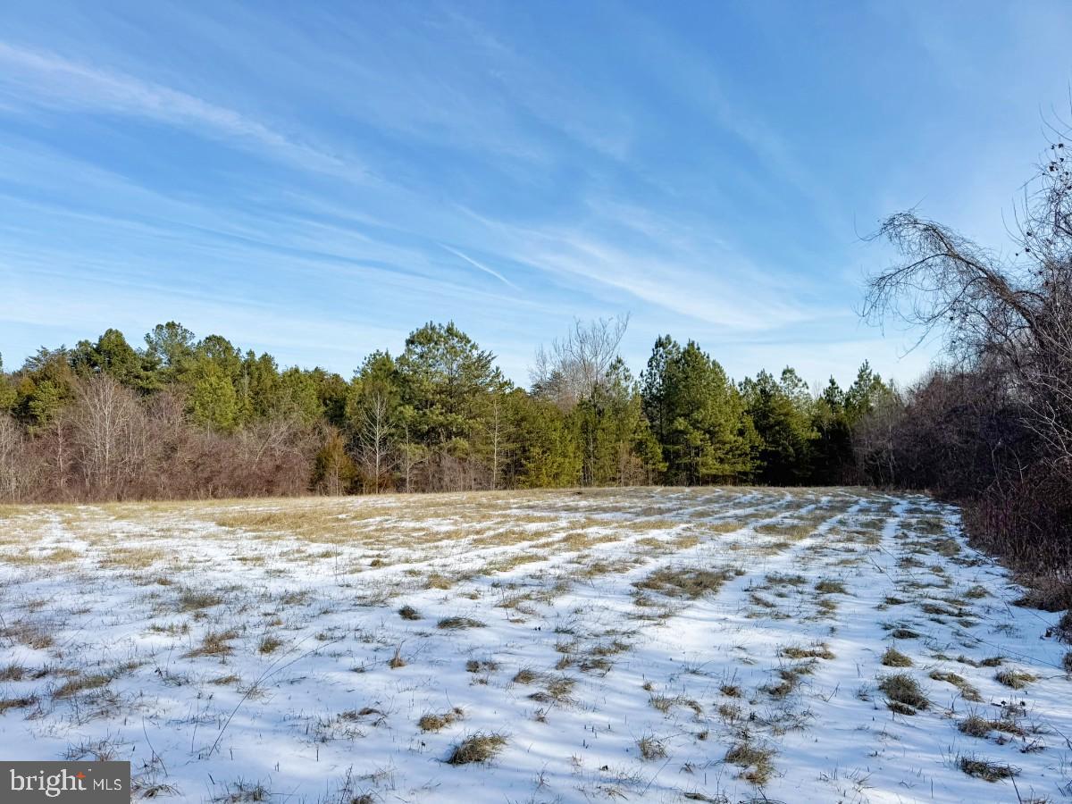 0 BILL TUCK HWY, VIRGILINA, Virginia 24598, ,Land,For sale,0 BILL TUCK HWY,VAHX2000158 MLS # VAHX2000158