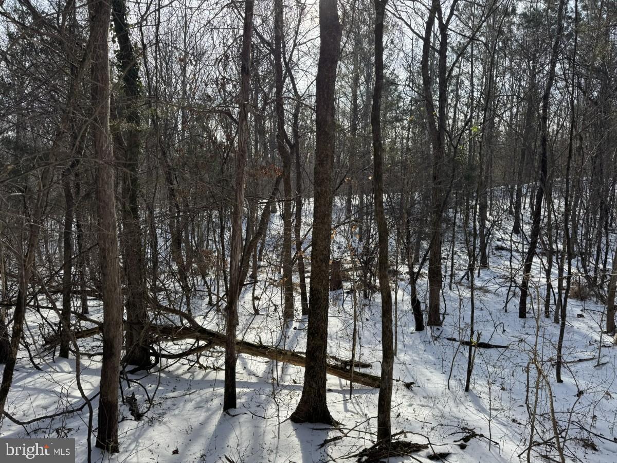 0 BILL TUCK HWY, VIRGILINA, Virginia 24598, ,Land,For sale,0 BILL TUCK HWY,VAHX2000158 MLS # VAHX2000158