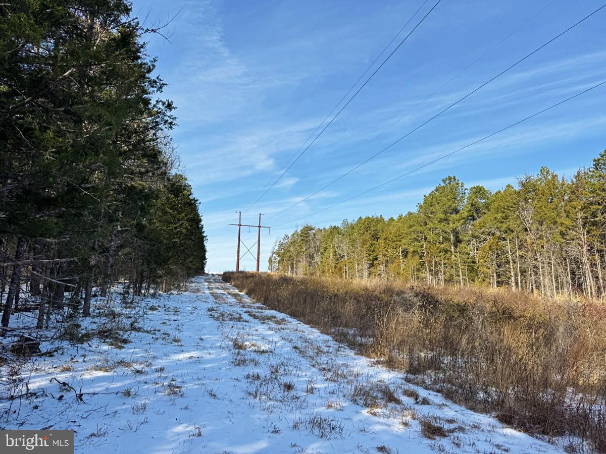 0 BILL TUCK HWY, VIRGILINA, Virginia 24598, ,Land,For sale,0 BILL TUCK HWY,VAHX2000158 MLS # VAHX2000158