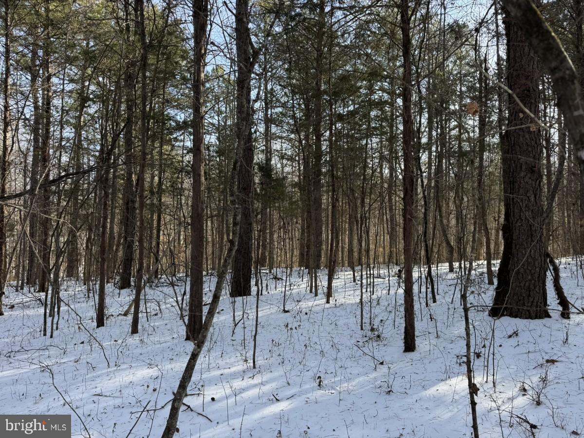 0 BILL TUCK HWY, VIRGILINA, Virginia 24598, ,Land,For sale,0 BILL TUCK HWY,VAHX2000158 MLS # VAHX2000158