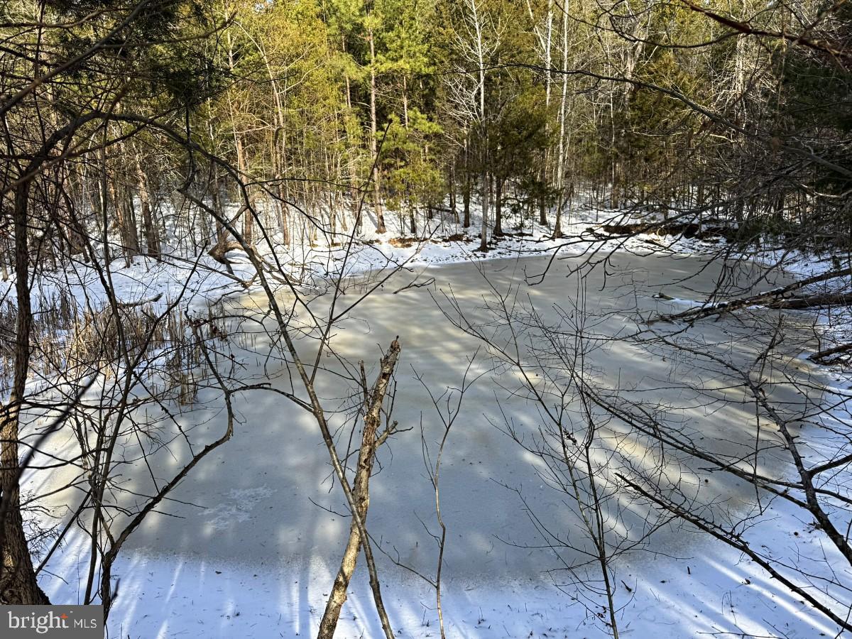 0 BILL TUCK HWY, VIRGILINA, Virginia 24598, ,Land,For sale,0 BILL TUCK HWY,VAHX2000158 MLS # VAHX2000158