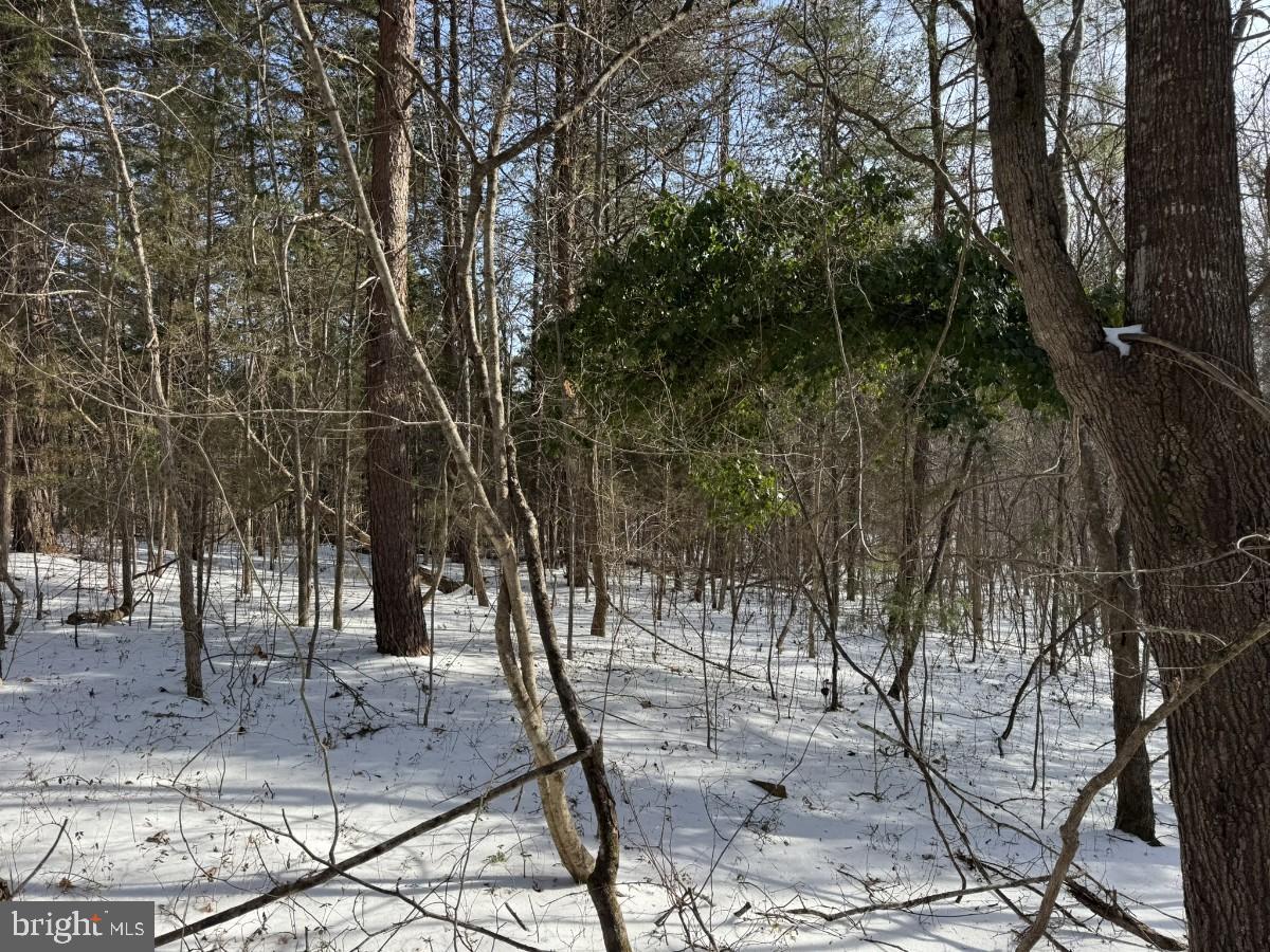 0 BILL TUCK HWY, VIRGILINA, Virginia 24598, ,Land,For sale,0 BILL TUCK HWY,VAHX2000160 MLS # VAHX2000160