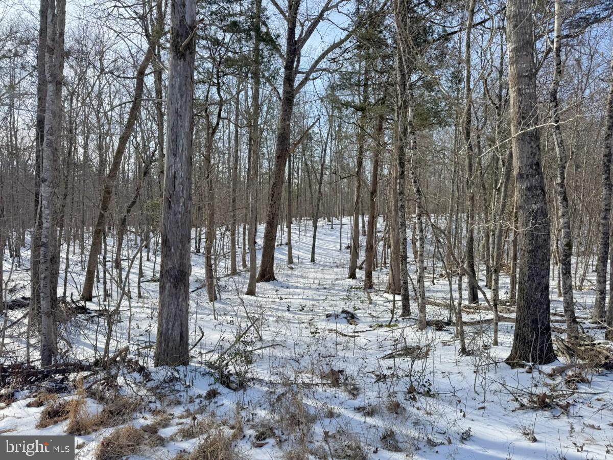 0 BILL TUCK HWY, VIRGILINA, Virginia 24598, ,Land,For sale,0 BILL TUCK HWY,VAHX2000160 MLS # VAHX2000160