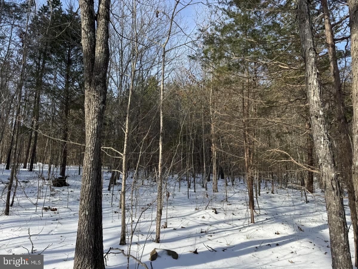 0 BILL TUCK HWY, VIRGILINA, Virginia 24598, ,Land,For sale,0 BILL TUCK HWY,VAHX2000160 MLS # VAHX2000160