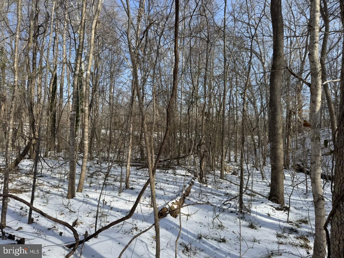 0 BILL TUCK HWY, VIRGILINA, Virginia 24598, ,Land,For sale,0 BILL TUCK HWY,VAHX2000160 MLS # VAHX2000160