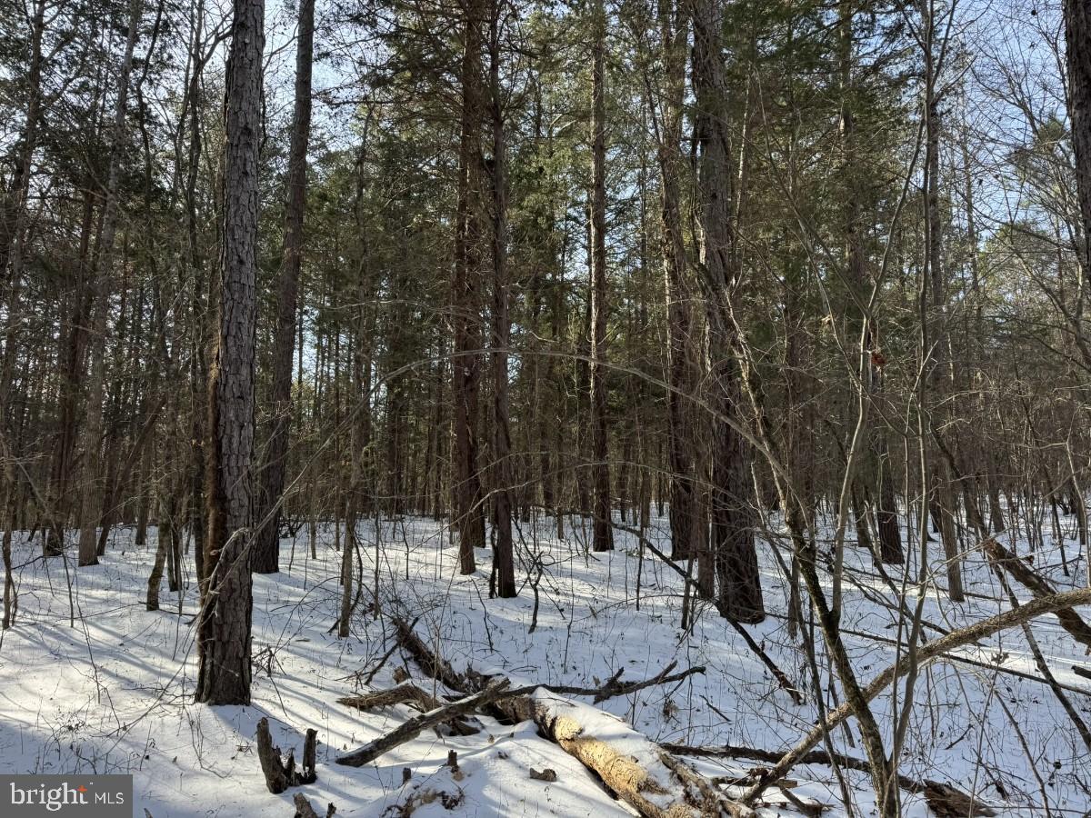 0 BILL TUCK HWY, VIRGILINA, Virginia 24598, ,Land,For sale,0 BILL TUCK HWY,VAHX2000160 MLS # VAHX2000160