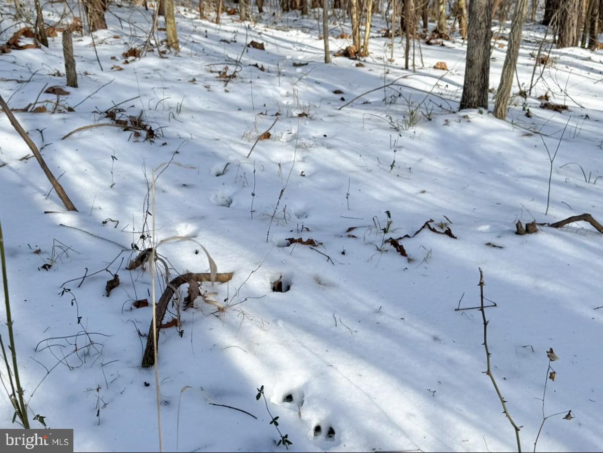 0 BILL TUCK HWY, VIRGILINA, Virginia 24598, ,Land,For sale,0 BILL TUCK HWY,VAHX2000160 MLS # VAHX2000160