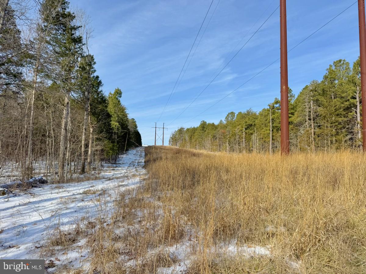 0 BILL TUCK HWY, VIRGILINA, Virginia 24598, ,Land,For sale,0 BILL TUCK HWY,VAHX2000160 MLS # VAHX2000160