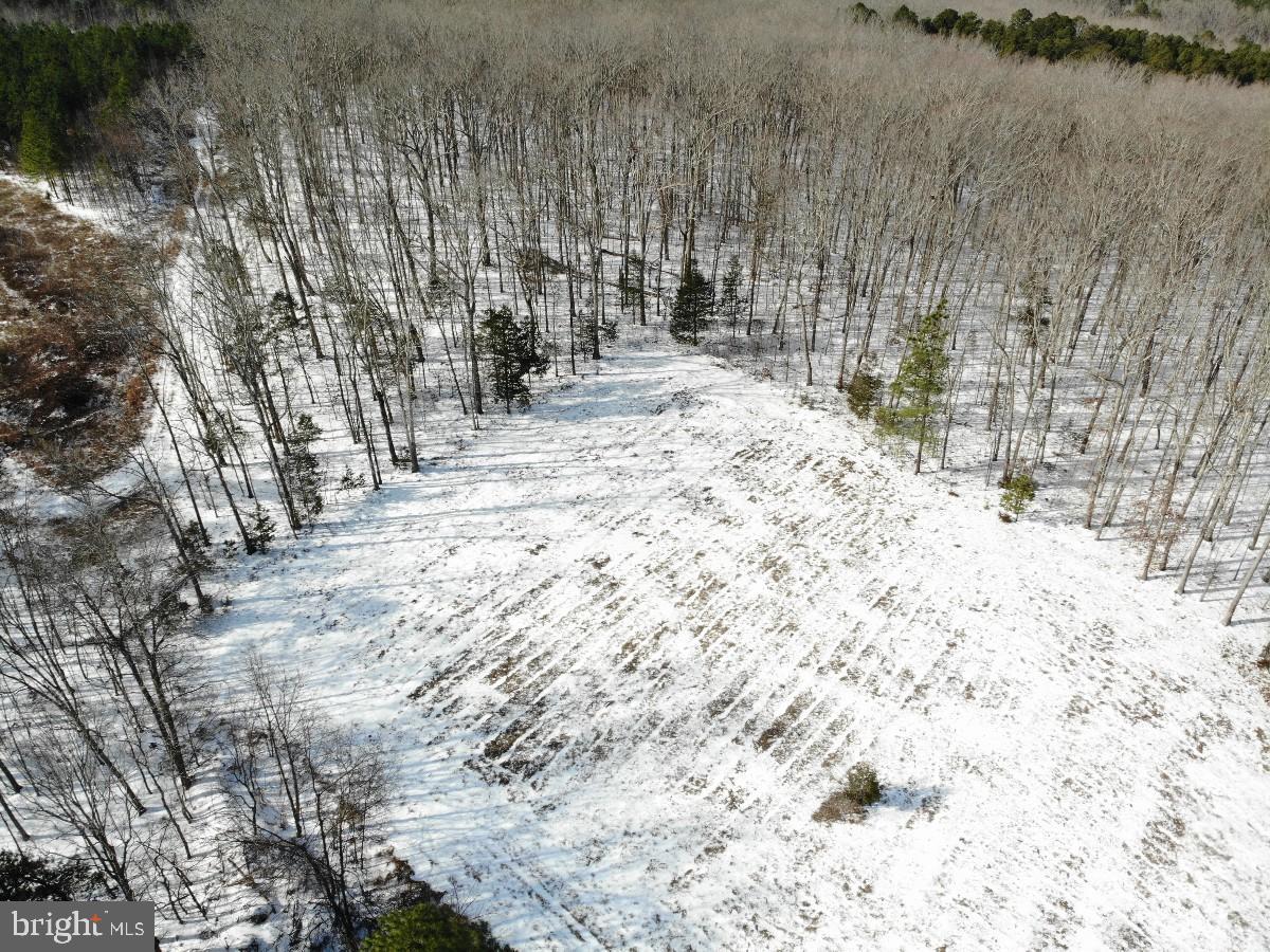 0 BILL TUCK HWY, VIRGILINA, Virginia 24598, ,Land,For sale,0 BILL TUCK HWY,VAHX2000162 MLS # VAHX2000162 0 BILL TUCK HWY, VIRGILINA, Virginia 24598, ,Land,For sale,0 BILL TUCK HWY,VAHX2000162 MLS # VAHX2000162