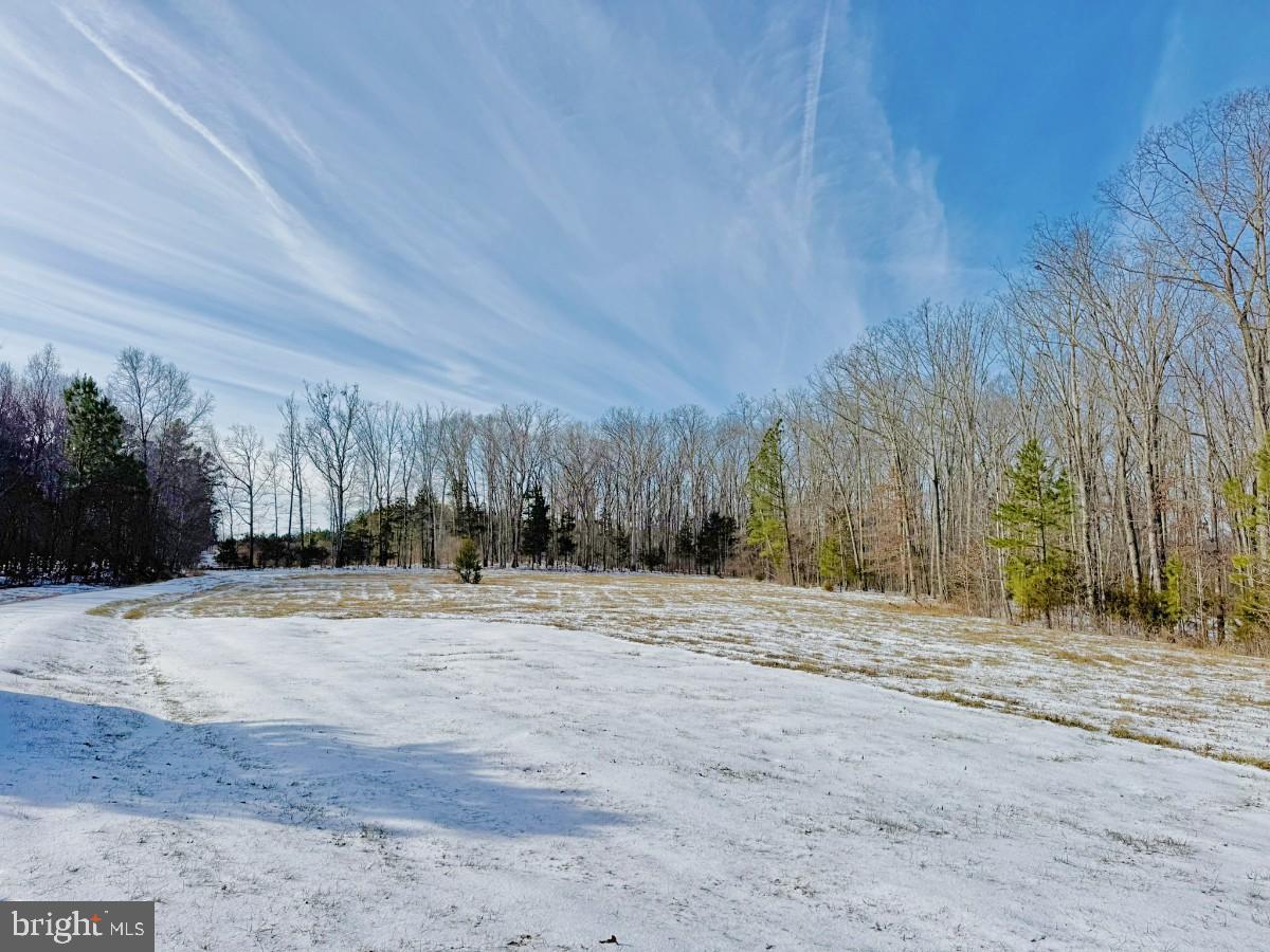0 BILL TUCK HWY, VIRGILINA, Virginia 24598, ,Land,For sale,0 BILL TUCK HWY,VAHX2000162 MLS # VAHX2000162 0 BILL TUCK HWY, VIRGILINA, Virginia 24598, ,Land,For sale,0 BILL TUCK HWY,VAHX2000162 MLS # VAHX2000162