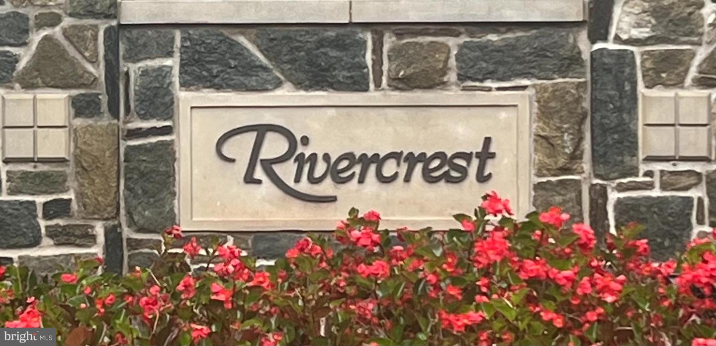 47425 RIVER CREST ST, STERLING, Virginia 20165, 4 Bedrooms Bedrooms, ,3 BathroomsBathrooms,Residential,For sale,47425 RIVER CREST ST,VALO2109320 MLS # VALO2109320 47425 RIVER CREST ST, STERLING, Virginia 20165, 4 Bedrooms Bedrooms, ,3 BathroomsBathrooms,Residential,For sale,47425 RIVER CREST ST,VALO2109320 MLS # VALO2109320