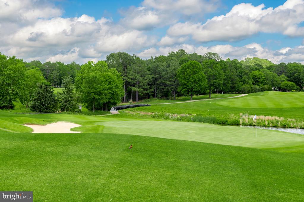 11316 OAKVILLE LN, SPOTSYLVANIA, Virginia 22551, 4 Bedrooms Bedrooms, ,3 BathroomsBathrooms,Residential,11316 OAKVILLE LN,VASP2038940 MLS # VASP2038940 11316 OAKVILLE LN, SPOTSYLVANIA, Virginia 22551, 4 Bedrooms Bedrooms, ,3 BathroomsBathrooms,Residential,11316 OAKVILLE LN,VASP2038940 MLS # VASP2038940