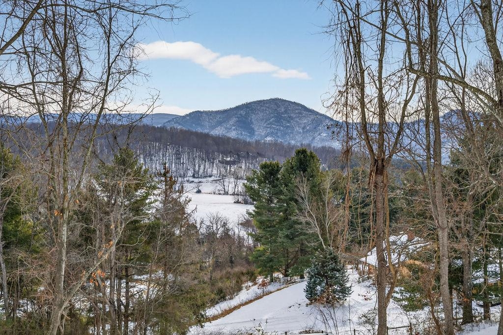 125 SPRING RIDGE LN, FAIRFIELD, Virginia 24435, 3 Bedrooms Bedrooms, ,2 BathroomsBathrooms,Residential,125 SPRING RIDGE LN,672898 MLS # 672898