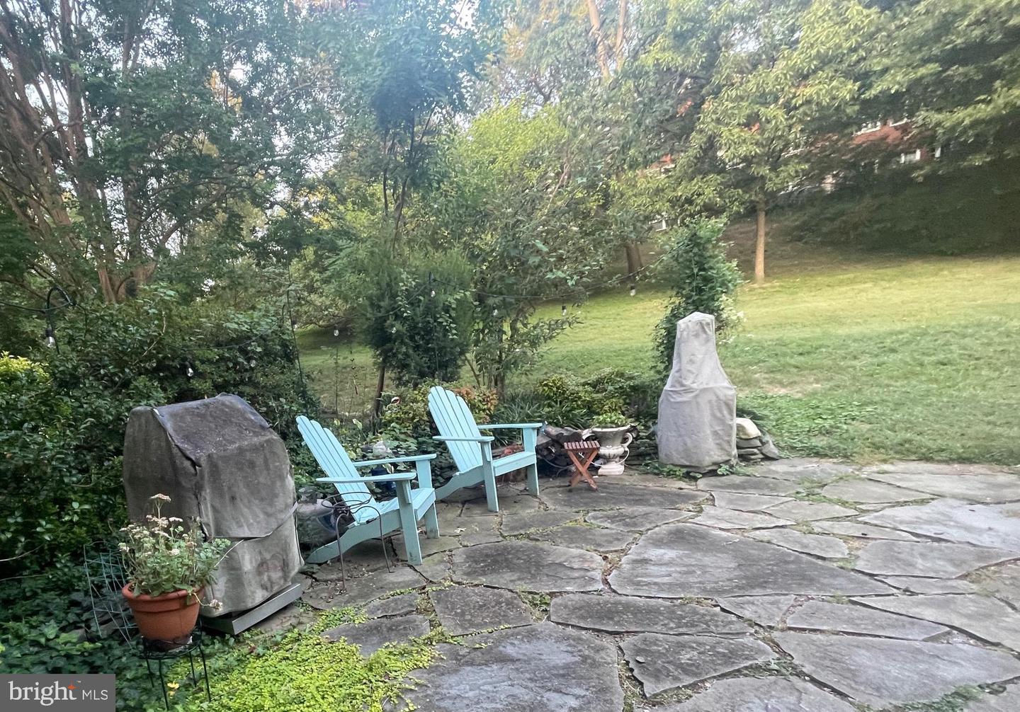 3236 VALLEY DR #3236, ALEXANDRIA, Virginia 22302, 1 Bedroom Bedrooms, ,1 BathroomBathrooms,Residential,For sale,3236 VALLEY DR #3236,VAAX2053576 MLS # VAAX2053576 3236 VALLEY DR #3236, ALEXANDRIA, Virginia 22302, 1 Bedroom Bedrooms, ,1 BathroomBathrooms,Residential,For sale,3236 VALLEY DR #3236,VAAX2053576 MLS # VAAX2053576