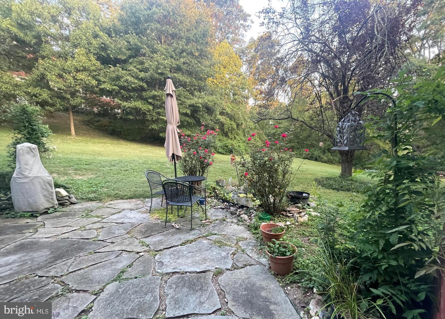 3236 VALLEY DR #3236, ALEXANDRIA, Virginia 22302, 1 Bedroom Bedrooms, ,1 BathroomBathrooms,Residential,For sale,3236 VALLEY DR #3236,VAAX2053576 MLS # VAAX2053576 3236 VALLEY DR #3236, ALEXANDRIA, Virginia 22302, 1 Bedroom Bedrooms, ,1 BathroomBathrooms,Residential,For sale,3236 VALLEY DR #3236,VAAX2053576 MLS # VAAX2053576