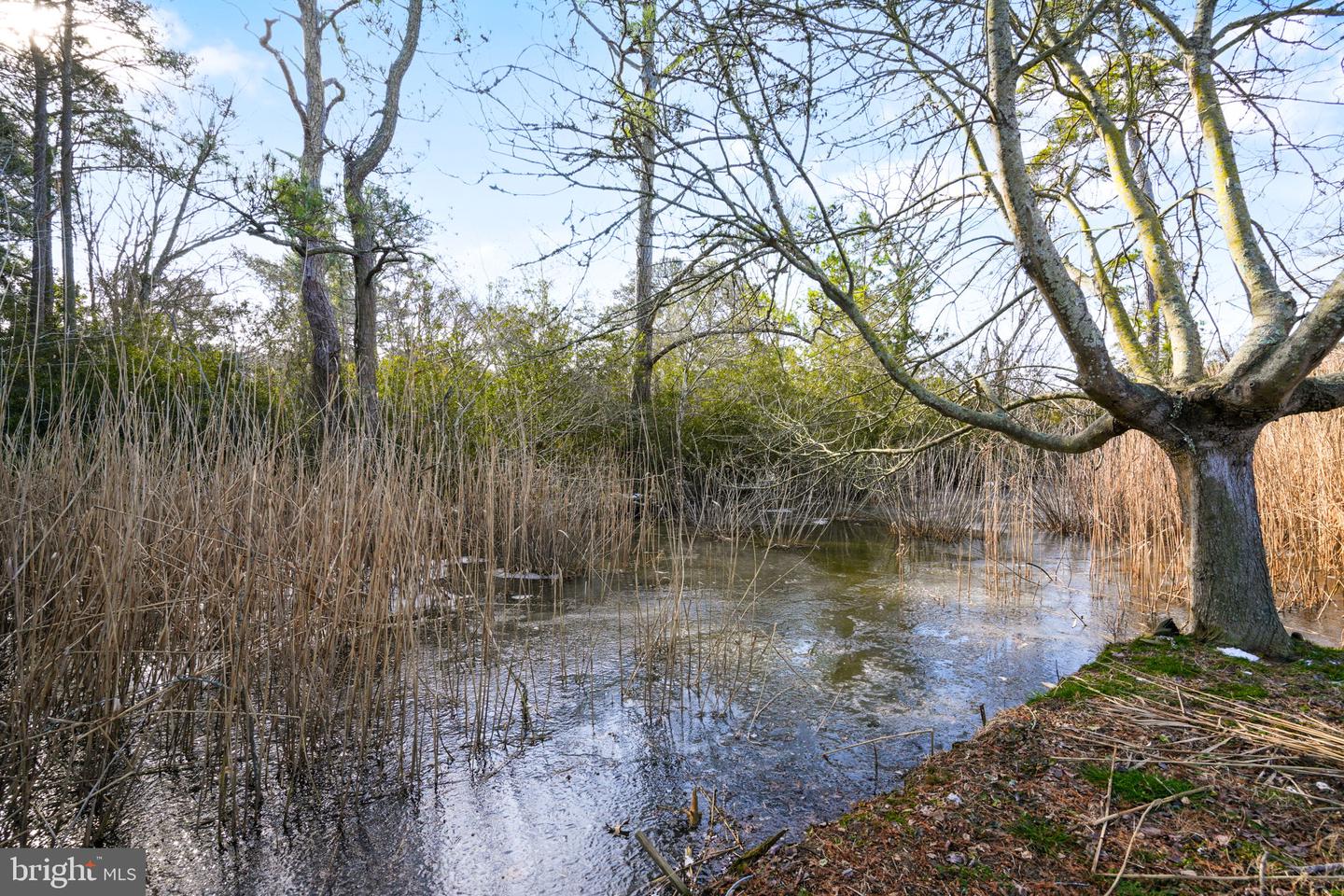 6498 CHURCH ST, CHINCOTEAGUE ISLAND, Virginia 23336, 2 Bedrooms Bedrooms, ,1 BathroomBathrooms,Residential,For sale,6498 CHURCH ST,VAAC2002584 MLS # VAAC2002584