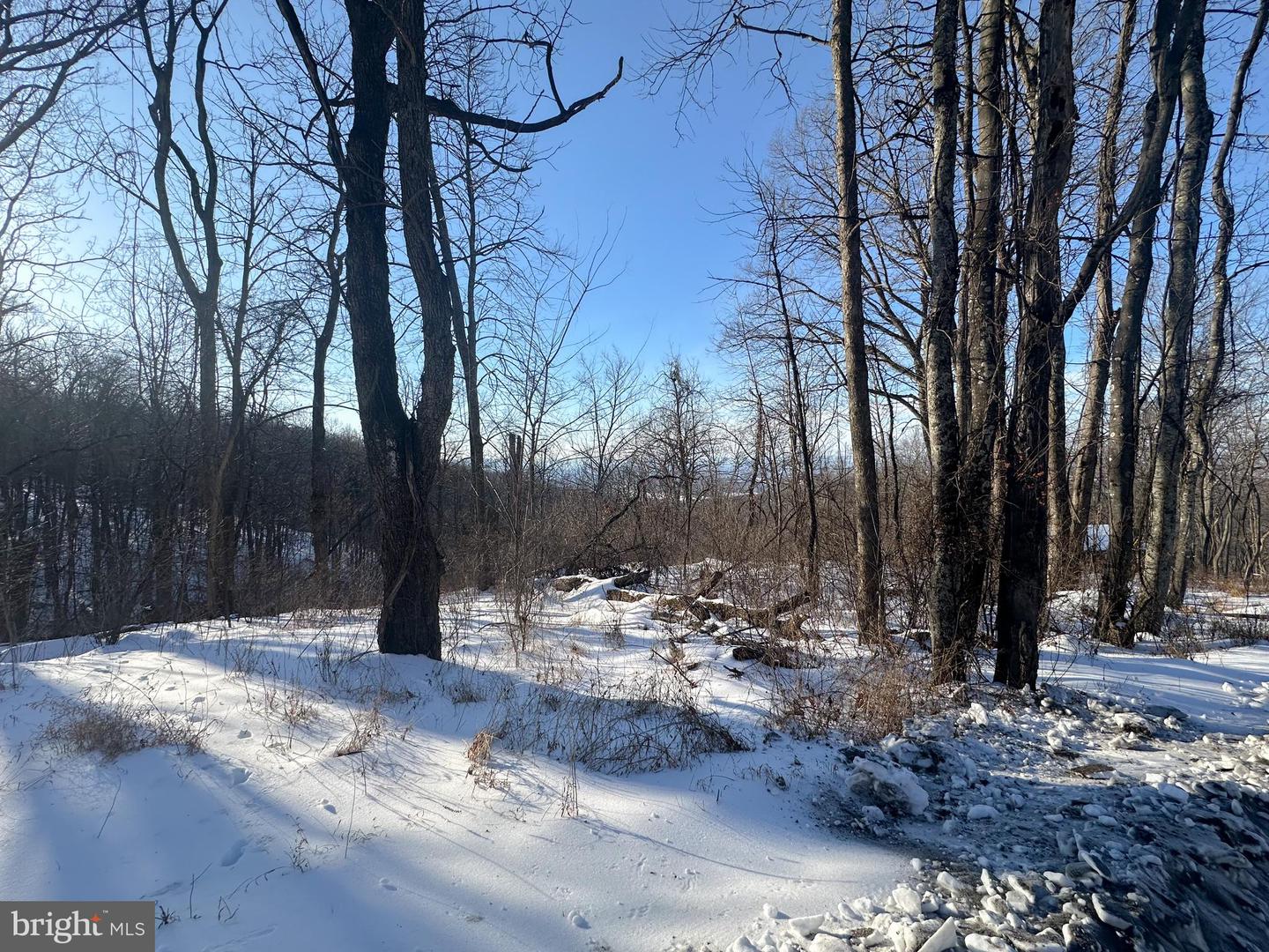 LOT 71 HIGH TOP RD, LINDEN, Virginia 22642, ,Land,For sale,LOT 71 HIGH TOP RD,VAWR2013244 MLS # VAWR2013244 LOT 71 HIGH TOP RD, LINDEN, Virginia 22642, ,Land,For sale,LOT 71 HIGH TOP RD,VAWR2013244 MLS # VAWR2013244