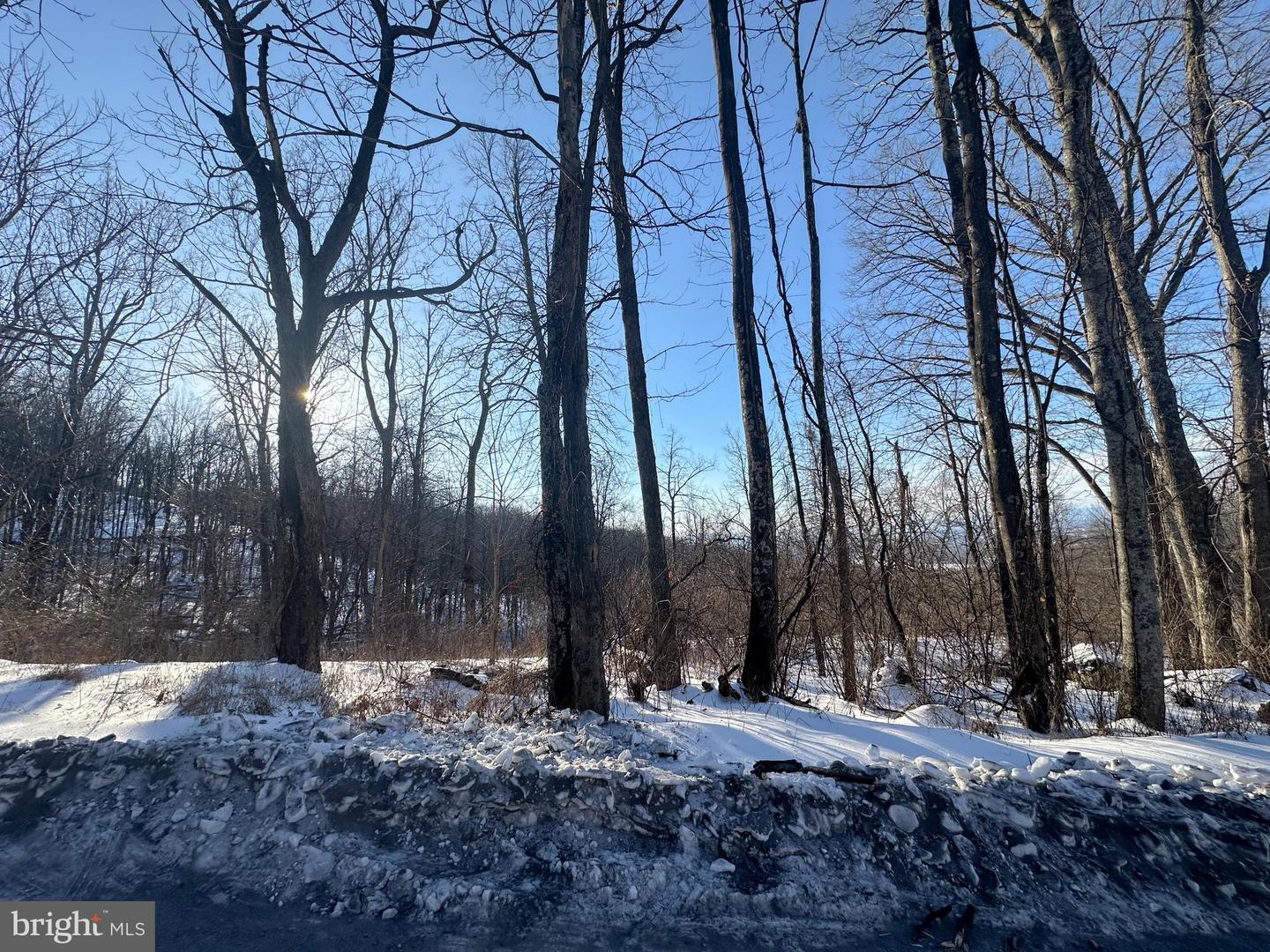 LOT 71 HIGH TOP RD, LINDEN, Virginia 22642, ,Land,For sale,LOT 71 HIGH TOP RD,VAWR2013244 MLS # VAWR2013244 LOT 71 HIGH TOP RD, LINDEN, Virginia 22642, ,Land,For sale,LOT 71 HIGH TOP RD,VAWR2013244 MLS # VAWR2013244