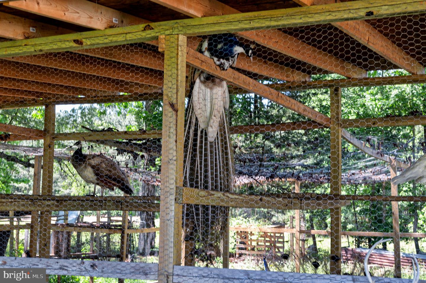 10439 ASHCAKE RD, ASHLAND, Virginia 23005, 4 Bedrooms Bedrooms, ,2 BathroomsBathrooms,Residential,For sale,10439 ASHCAKE RD,VAHA2001128 MLS # VAHA2001128